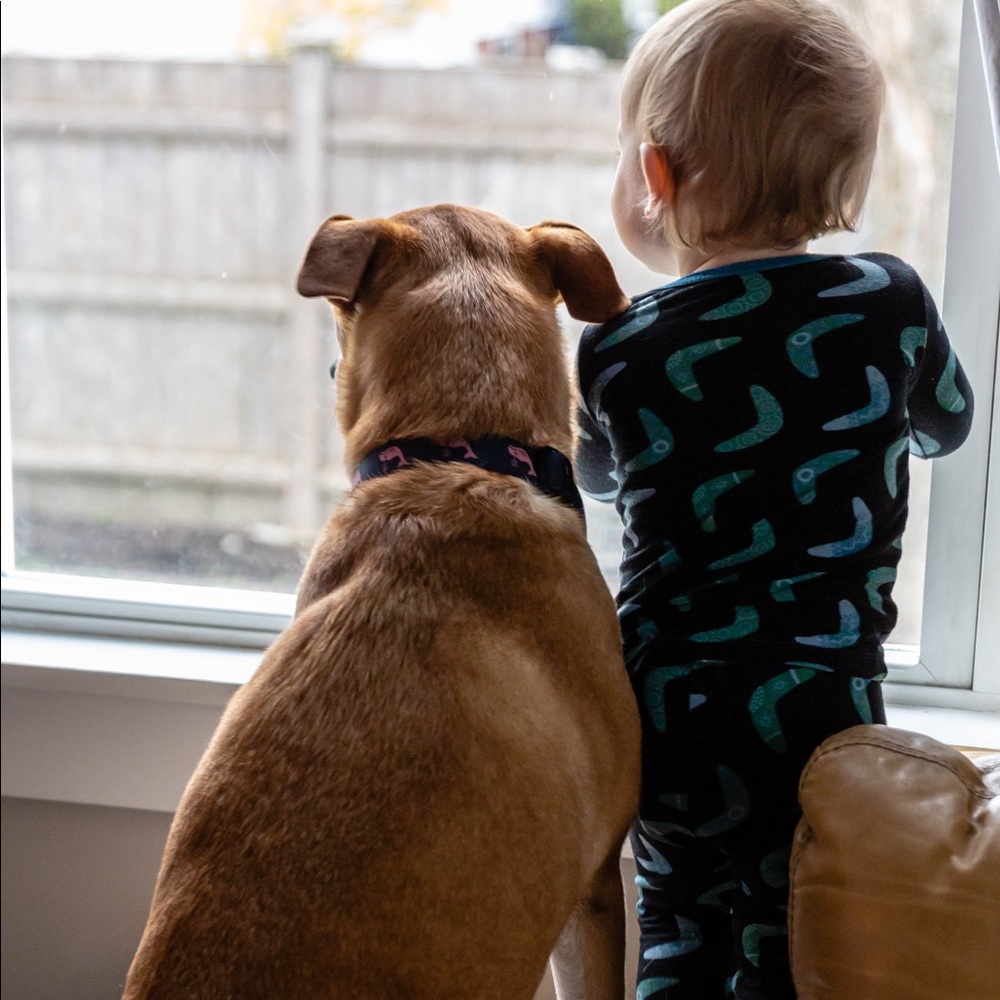 Meet your Posher, Mary elizabeth